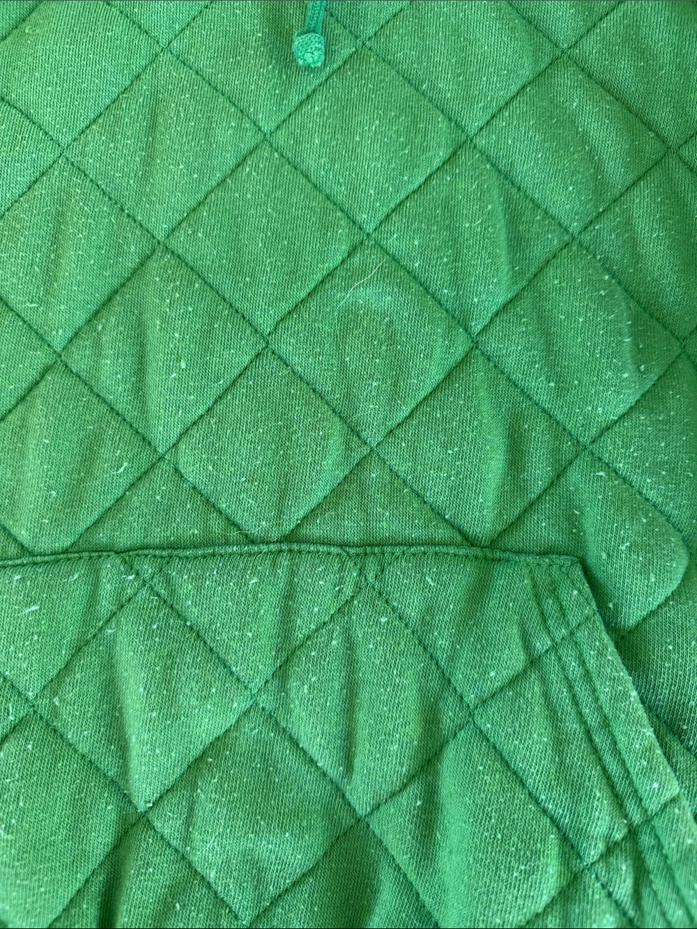 Aviator Nation Bright Green Quilted Hoodie with Multicolor N Logo - Picture 2 of 4